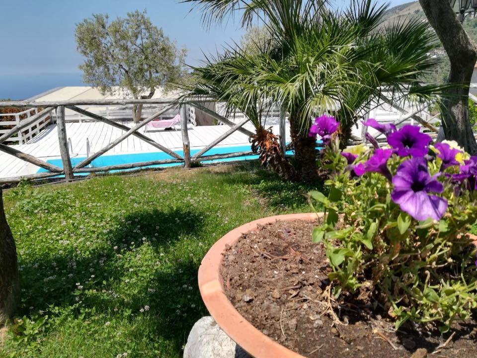 Ferienwohnung Il Casale Del Golfo Vico Equense Exterior foto